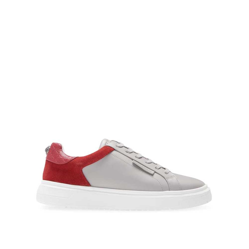 Grey Kurt Geiger Noah Eagle Mix Men's Sneakers | UAE-30248659